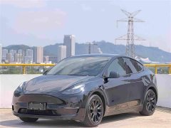 Tesla Model Y Standard Range RWD - ფოტო 1