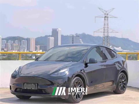 2021 Tesla Model Y Standard Range RWD - ავტომობილი ჩინეთიდან