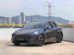 Tesla Model Y Standard Range RWD - ფოტო 17