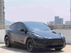 Tesla Model Y Standard Range RWD - ფოტო 3
