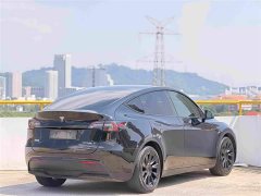 Tesla Model Y Standard Range RWD - ფოტო 4