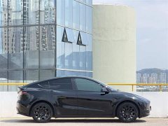 Tesla Model Y Standard Range RWD - ფოტო 8