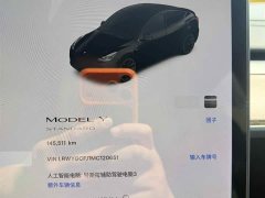 Tesla Model Y Standard Range RWD - ფოტო 9
