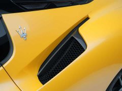 Maserati MC20 2020 3.0T Standard Edition - ფოტო 13