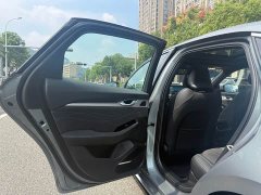 Geely Xingui Xingrui Oriental Radiance 2.0T Diesel Moonlight Edition - ფოტო 11