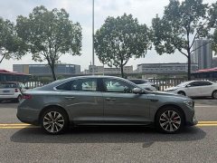 Geely Xingui Xingrui Oriental Radiance 2.0T Diesel Moonlight Edition - ფოტო 4