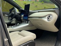 Denza X 2020 PHEV Premier Edition - ფოტო 15