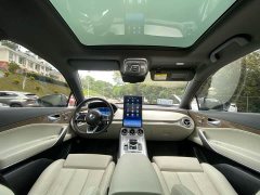 Denza X 2020 PHEV Premier Edition - ფოტო 16