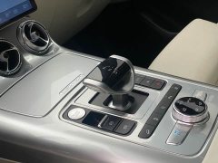 Denza X 2020 PHEV Premier Edition - ფოტო 19