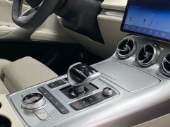 Denza X 2020 PHEV Premier Edition - ფოტო 20