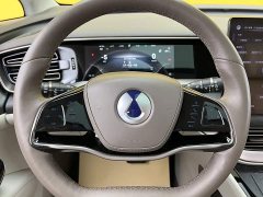Denza D9 2022 DM-i 970 AWD Flagship - ფოტო 16