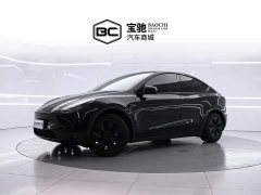 Tesla Model Y 2023 Rear-Wheel Drive - ფოტო 1