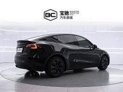 Tesla Model Y 2023 Rear-Wheel Drive - ფოტო 3