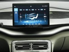 BYD Qin Plus DM-i 55KM Flagship - ფოტო 12