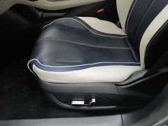 BYD Qin Plus DM-i 55KM Flagship - ფოტო 20