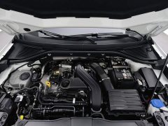 Mercedes-Benz T-ROC Tanyue 2023 300TSI DSG FWD Chenguang Edition - ფოტო 6