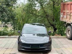 Tesla Model 3 Rear-Wheel Drive - ფოტო 2