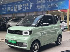BMW Hongguang MINIEV Macaron Premium Edition LFP - ფოტო 1