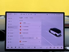 Zeekr Geely Zeekr MIX 2025 Smart Driving Edition - ფოტო 20