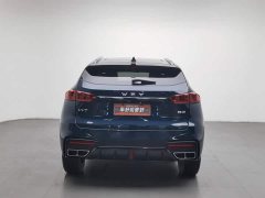 Great Wall WEY VV7 2.0T Tech Edition - ფოტო 4