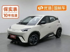 BYD Seagull Flying Edition - ფოტო 1