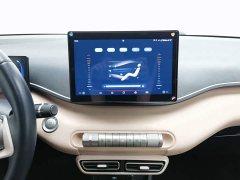 BYD Seagull Flying Edition - ფოტო 12