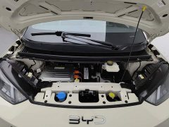 BYD Seagull Flying Edition - ფოტო 6