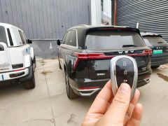Great Wall WEY Blue Mountain Intelligent Advanced 4WD Max - ფოტო 5