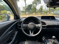 Mazda CX-30 2021 2.0L Manual Comfort Edition - ფოტო 19