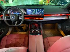 BMW 5 Series 530Li Premier M Sport Package - ფოტო 10