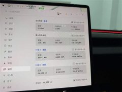 Tesla Model 3 2023 Long Range All-Wheel Drive - ფოტო 9