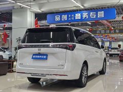 Buick GL8 Land Executive Cabin Advance Edition - ფოტო 7