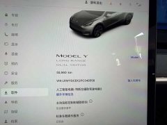Tesla Model Y 2023 Long Range All-Wheel Drive - ფოტო 10