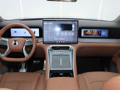 Denza N9 Premium Edition - ფოტო 13