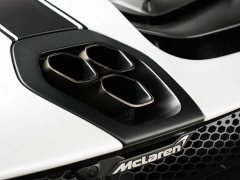 McLaren Senna 4.0T Automatic - фото 19