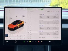 Tesla Model Y Rear-Wheel Drive - ფოტო 9
