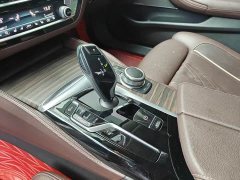 BMW 5 Series Facelift 530Li Luxury Edition Premium Package - ფოტო 10