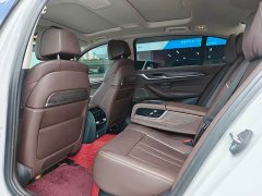 BMW 5 Series Facelift 530Li Luxury Edition Premium Package - ფოტო 12