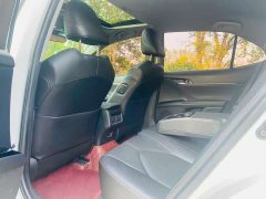 Toyota Camry 2.0G Luxury - ფოტო 9