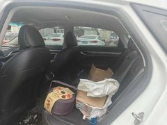 Geely Binrui 1.4T CVT Asian Games Edition - фото 5