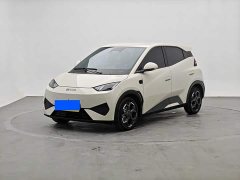 BYD Seagull Smart Driving Edition 305km Freedom Edition - ფოტო 1