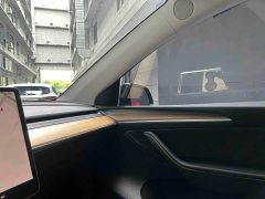 Tesla Model Y Rear-Wheel Drive - ფოტო 14