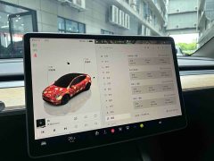 Tesla Model Y Rear-Wheel Drive - ფოტო 15