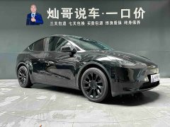 Tesla Model Y Rear-Wheel Drive - ფოტო 18