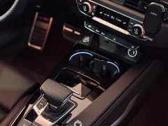 Audi A4L 2025 200 Million Units Joyful Edition 40 TFSI Luxury Dynamic - ფოტო 8