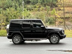 Mercedes-Benz G-Class G 500 - ფოტო 15