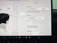 Tesla Model Y Rear-Wheel Drive - ფოტო 11