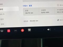 Tesla Model Y Rear-Wheel Drive - ფოტო 20