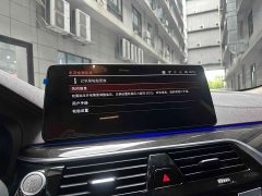BMW 5 Series Facelift 525Li Luxury Package - ფოტო 16