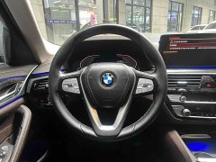 BMW 5 Series Facelift 525Li Luxury Package - ფოტო 9